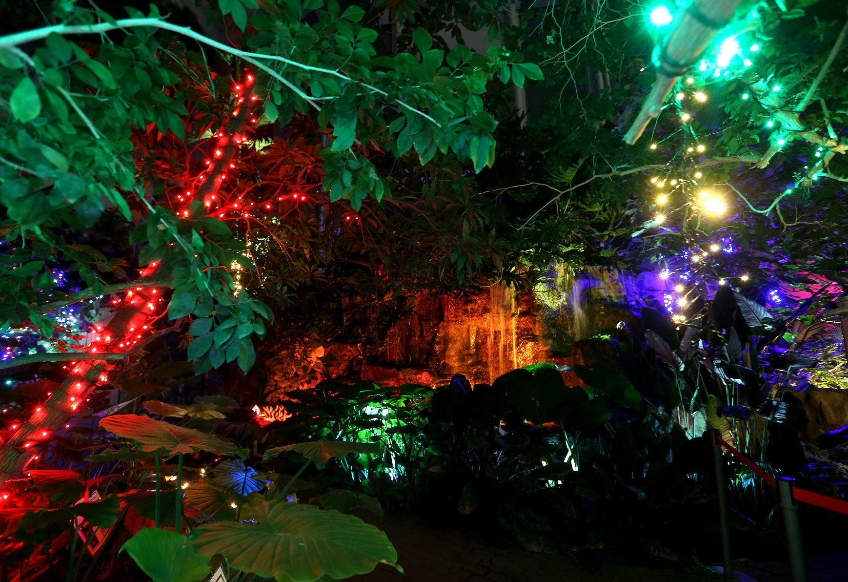 112718-botanical-lights-008